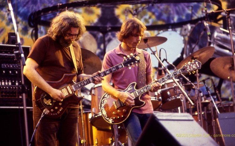 Grateful Dead Theme screenshot #5