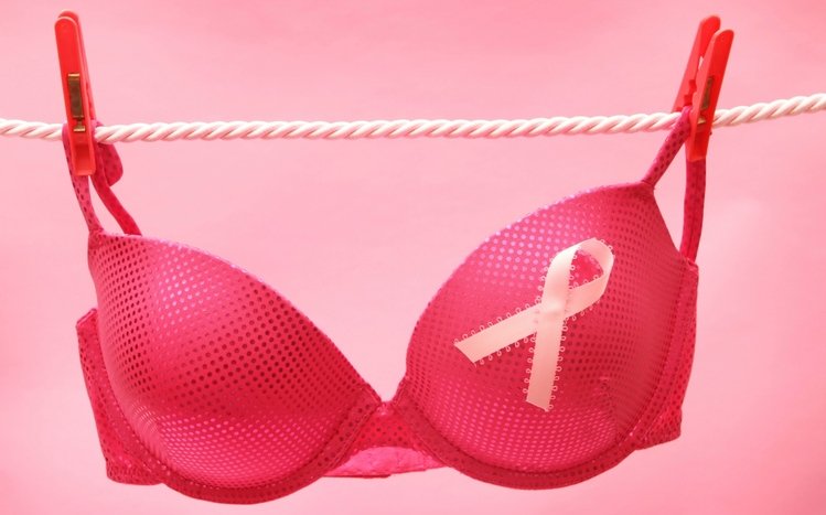 Breast Cancer Theme screenshot #9
