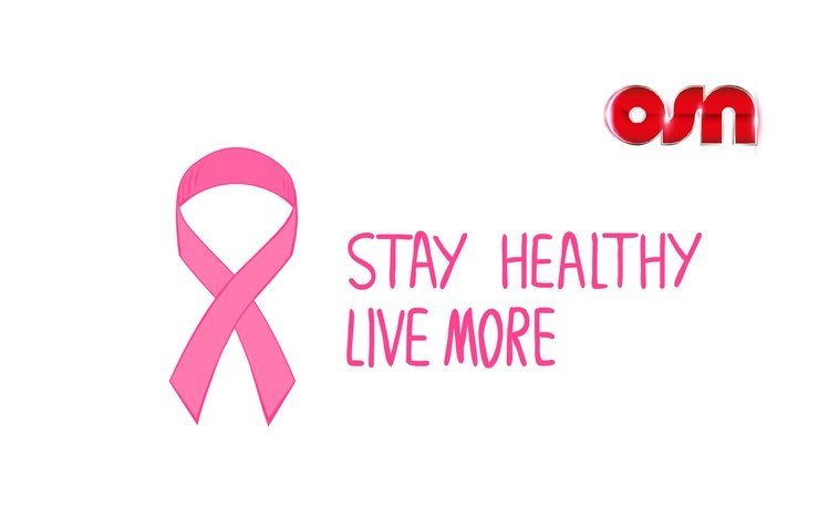 Breast Cancer Theme screenshot #4