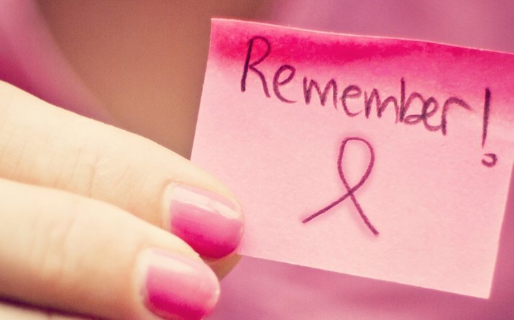 Breast Cancer Theme screenshot #7