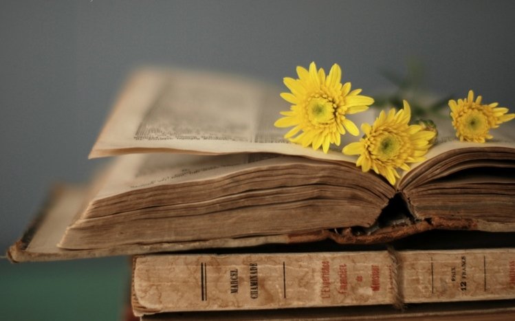 Book Theme screenshot #7