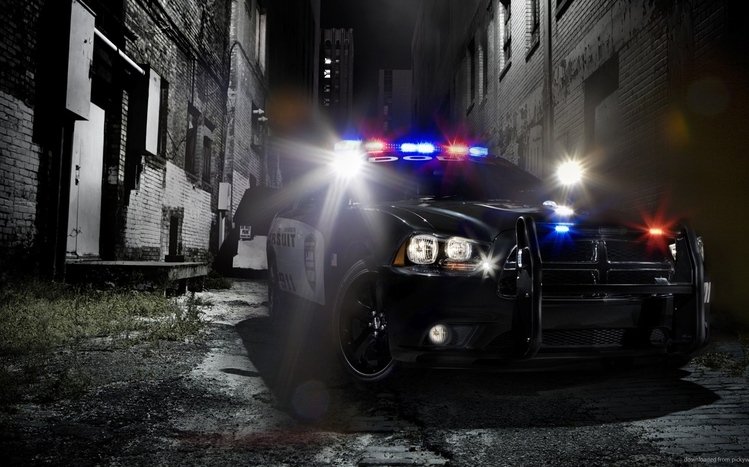 Police Theme screenshot #7