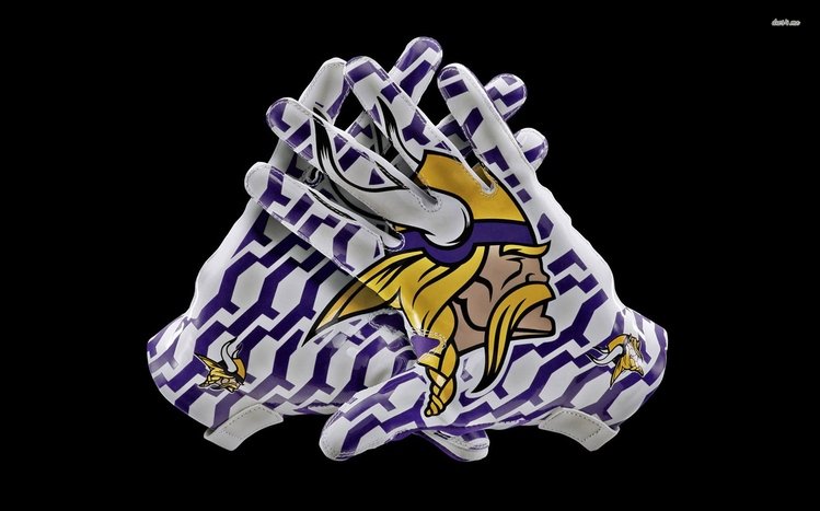 Minnesota Vikings Theme screenshot #5