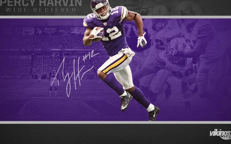 Minnesota Vikings Windows 11/10 Theme 