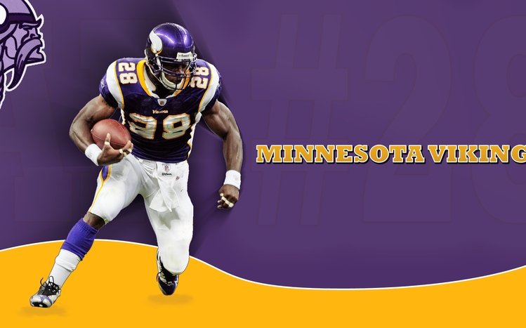 Minnesota Vikings Theme screenshot #11