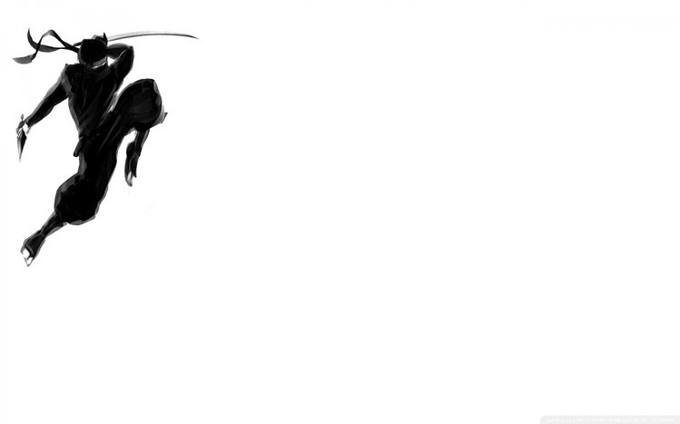 Ninja Theme screenshot #9