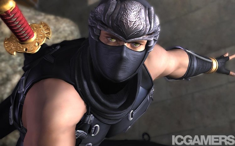 Ninja Theme screenshot #3