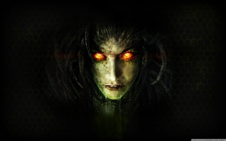 Starcraft Theme screenshot #5