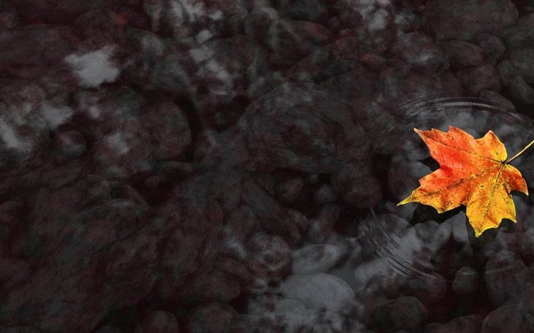 November Theme screenshot #2