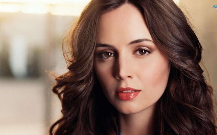 Dollhouse Theme screenshot #11