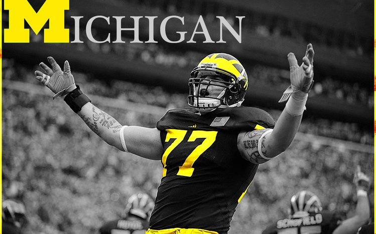 Michigan Theme screenshot #4