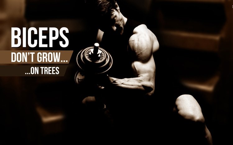 Fitness Theme screenshot #8