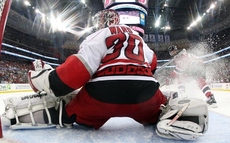 Hockey Theme screenshot #1