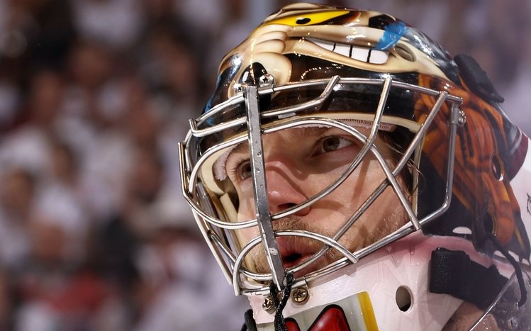 Hockey Theme screenshot #4