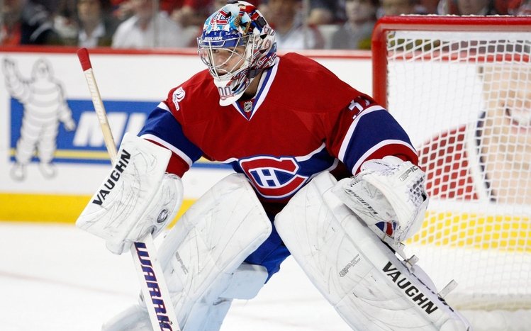 Hockey Theme screenshot #7