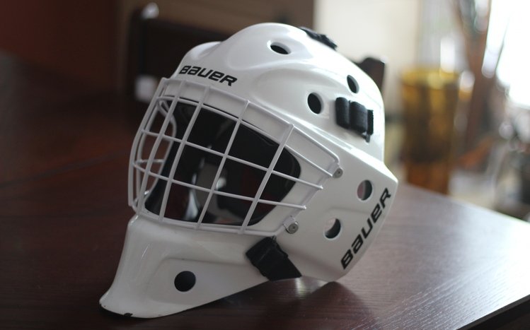 Hockey Theme screenshot #8