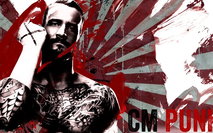CM Punk Theme screenshot #8