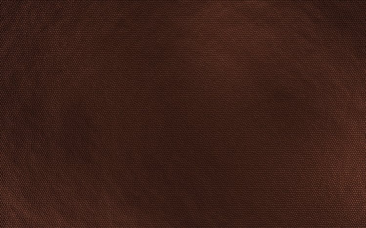 Brown Theme screenshot #1
