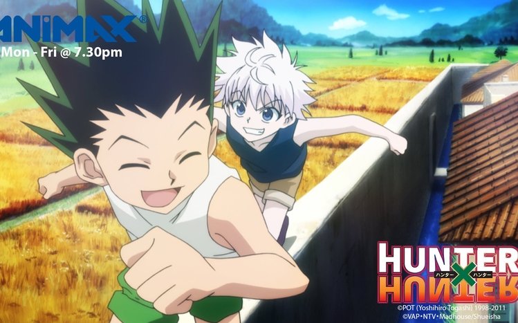 Anime Cartoons Hunter X Hunter HD Wallpaper - Stylish HD W…