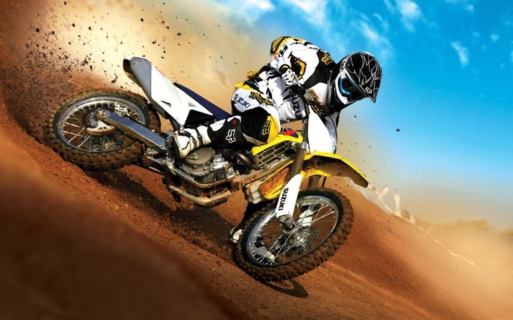 Dirt Bike Theme screenshot #9