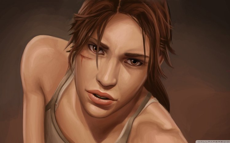 Tomb Raider Theme screenshot #4