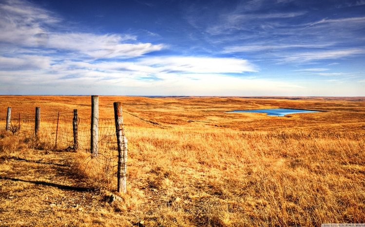 Texas Theme screenshot #8