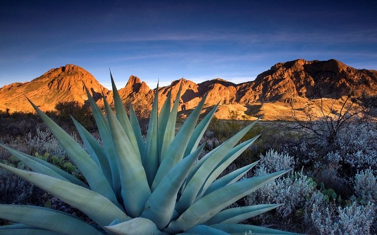 Texas Theme screenshot #4