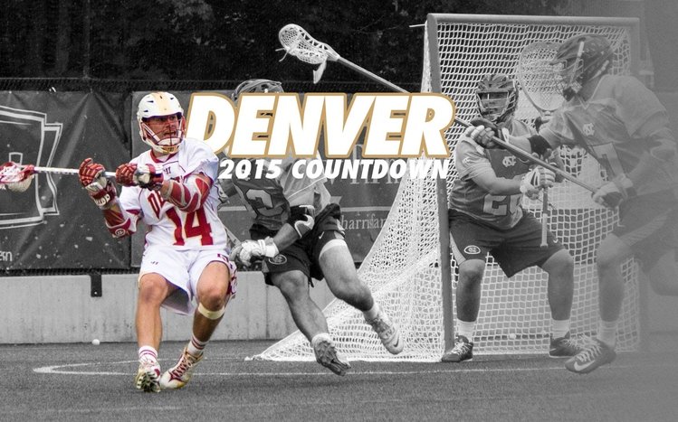 Lacrosse Theme screenshot #6