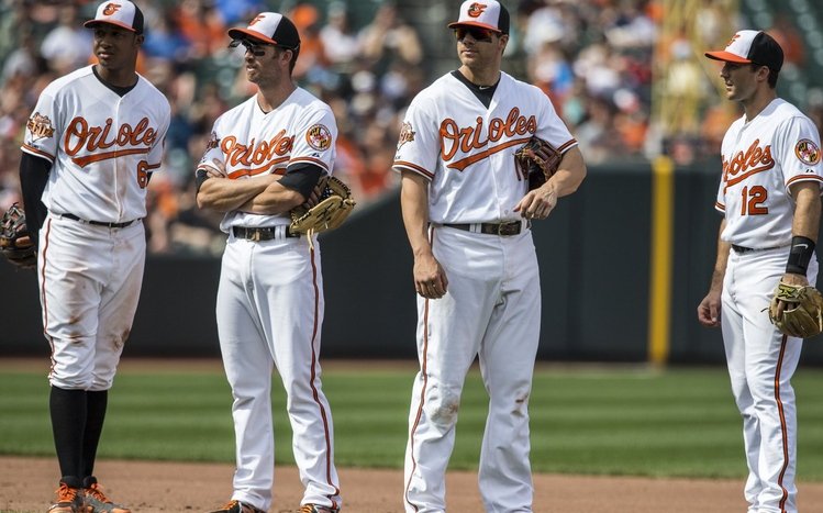 Baltimore Orioles Theme screenshot #4