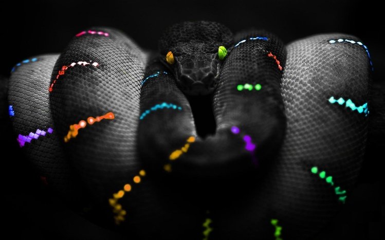 Snake Theme screenshot #9