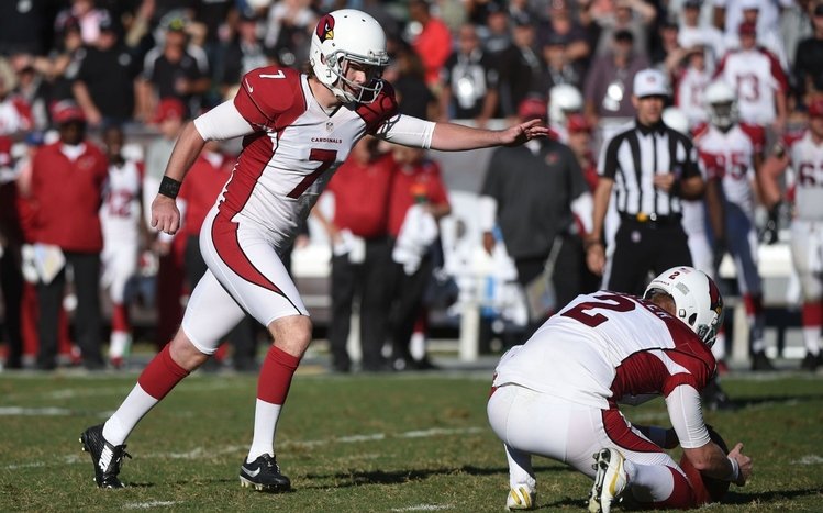 Arizona Cardinals Theme screenshot #3