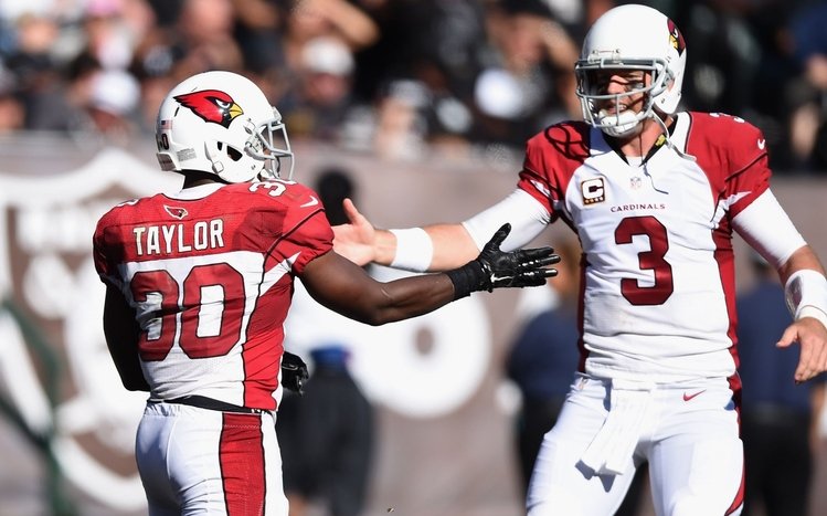 Arizona Cardinals Theme screenshot #5