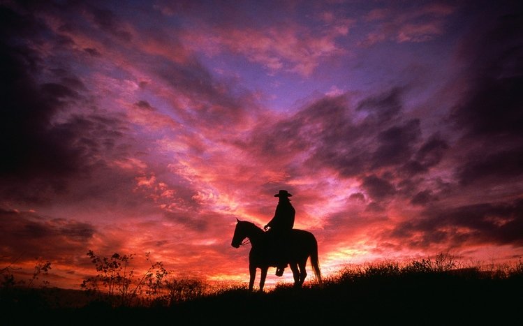 Cowboy Theme screenshot #6