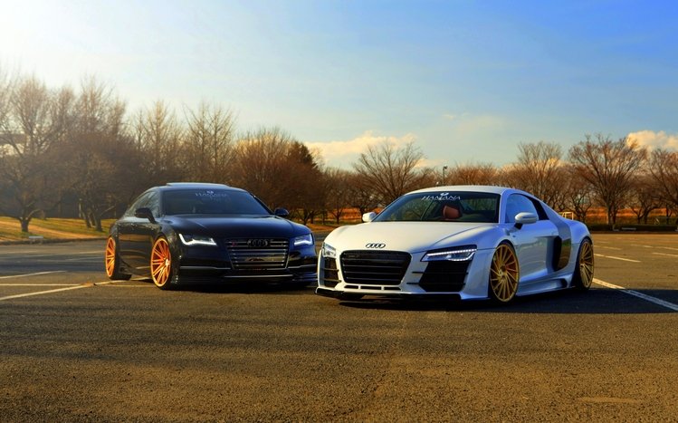Audi R8 Theme screenshot #6