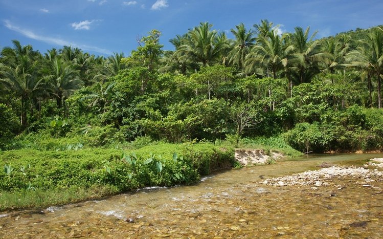 Jungle Theme screenshot #9