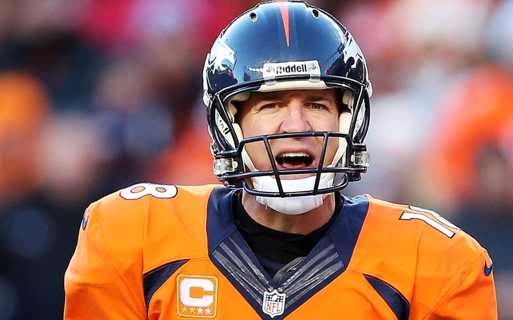 Peyton Manning Theme screenshot #10