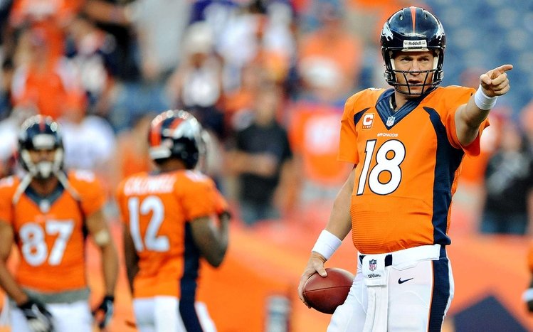 Peyton Manning Theme screenshot #12