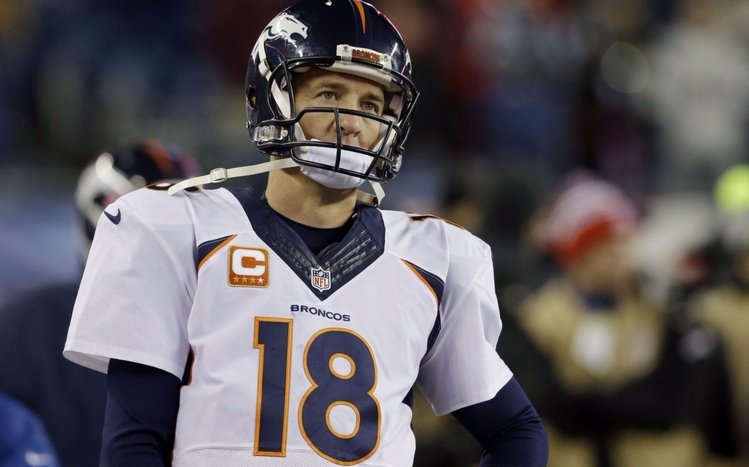 Peyton Manning Theme screenshot #15