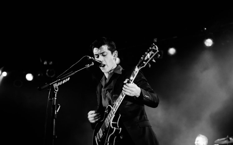 Arctic Monkeys Theme screenshot #12