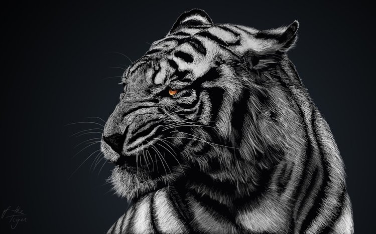 Detroit Tigers Windows 11/10 Theme 