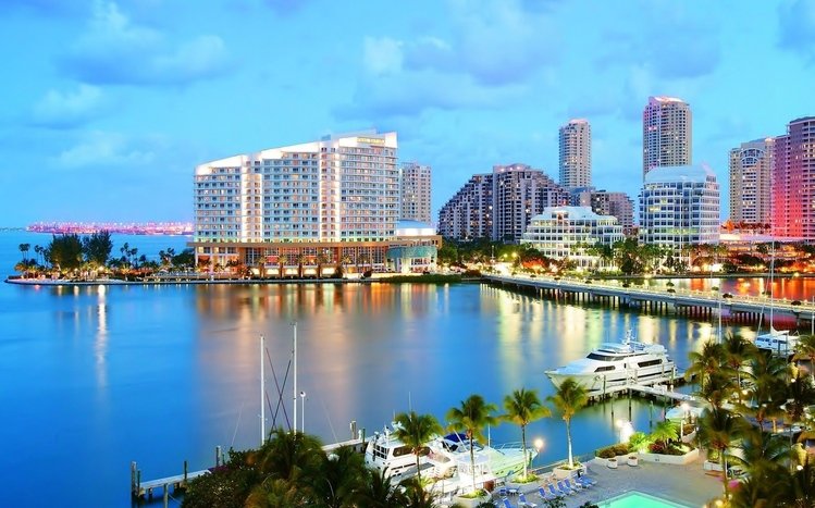 Miami Theme screenshot #3