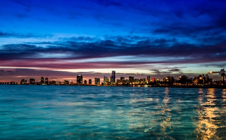 Miami Theme screenshot #12