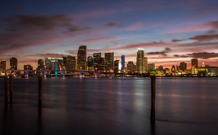 Miami Theme screenshot #13