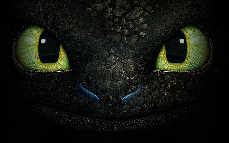 Toothless Theme screenshot #10