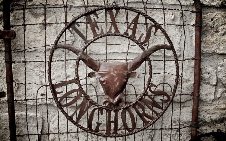 Texas Longhorns Theme screenshot #6