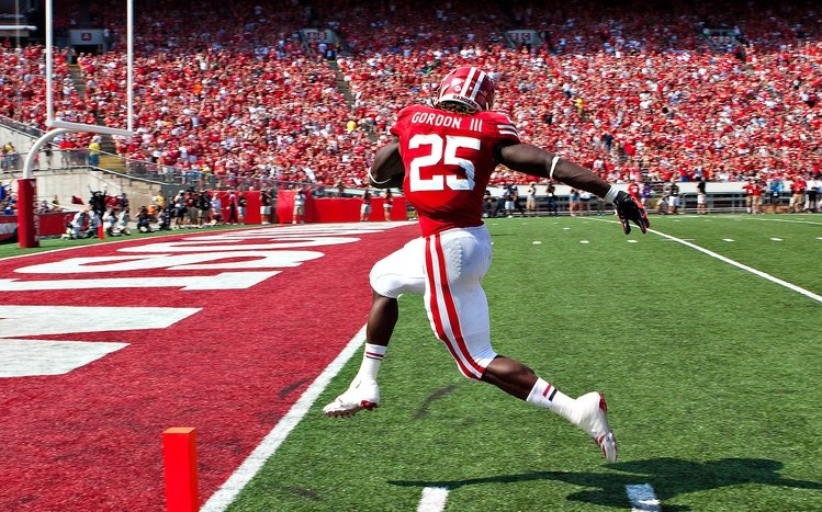 UGA Theme screenshot #8