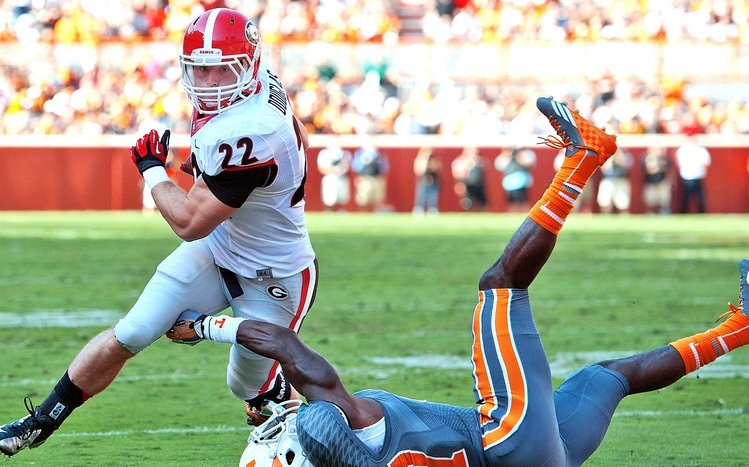 UGA Theme screenshot #9