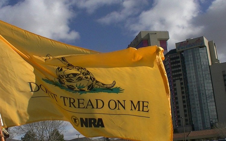 Don't Tread on Me Theme screenshot #7