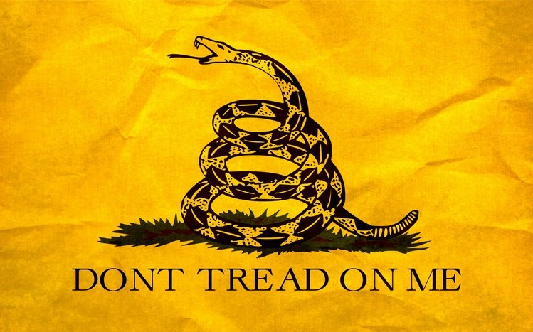 Don't Tread on Me Theme screenshot #4