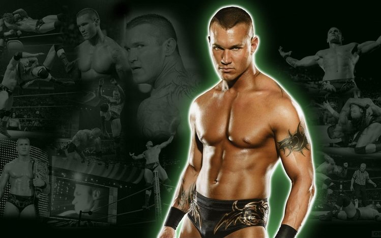 Randy Orton Theme screenshot #4